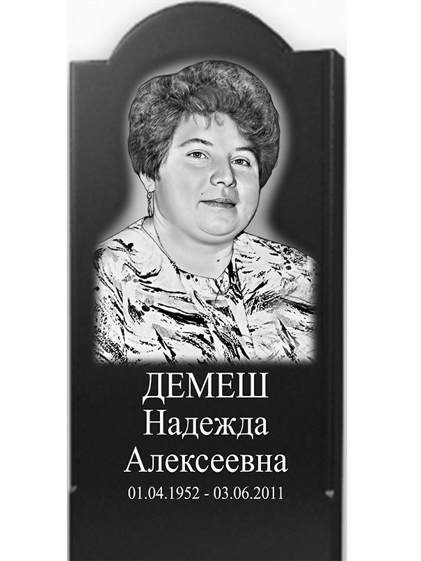 Демеш Н.А. Макет №1